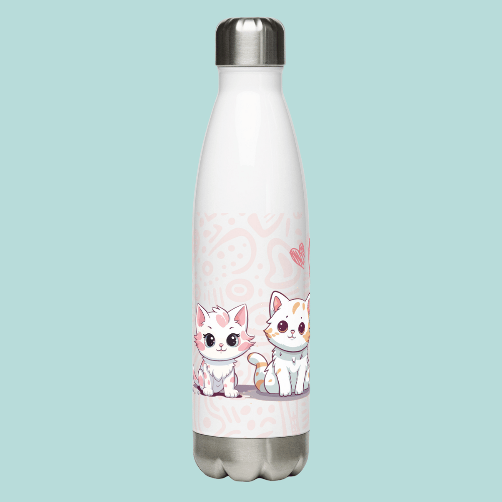 Stainless Steel Bottles